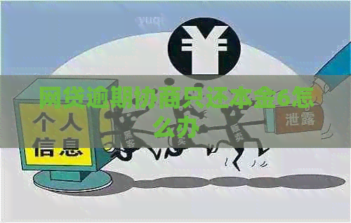 网贷逾期协商只还本金6怎么办