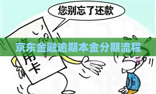京东金融逾期本金分期流程