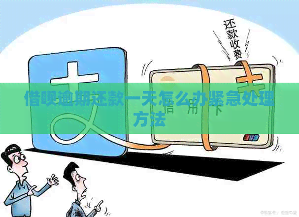网贷逾期还款一天怎么办紧急处理方法