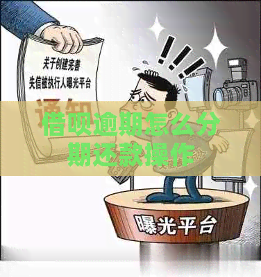 网贷逾期怎么分期还款操作