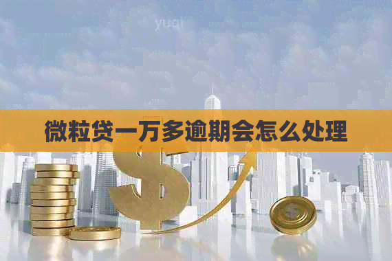 微粒贷一万多逾期会怎么处理