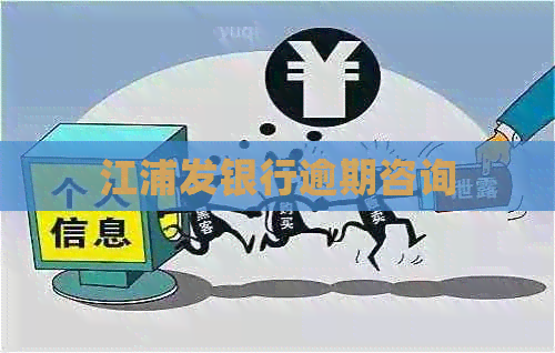 江浦发银行逾期咨询