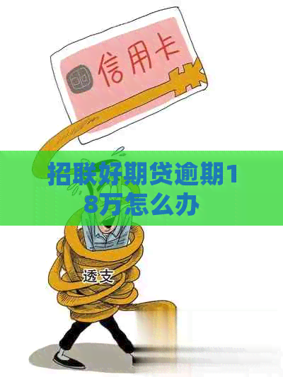 招联好期贷逾期18万怎么办