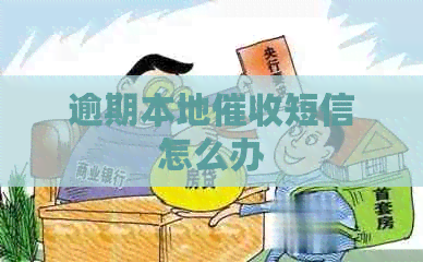 逾期本地短信怎么办