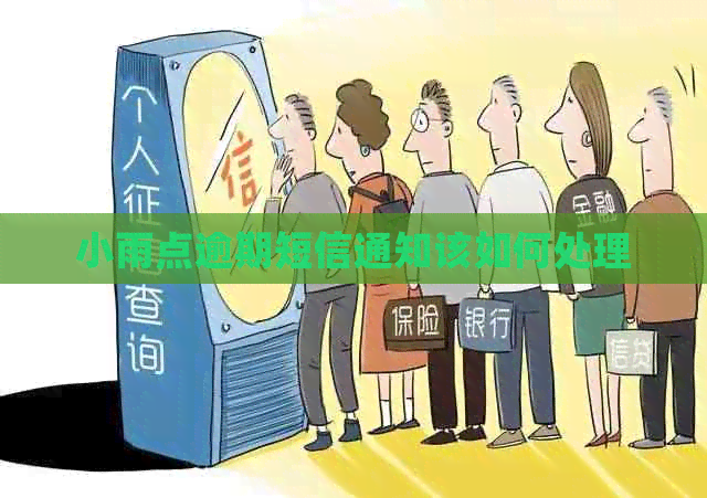 小雨点逾期短信通知该如何处理