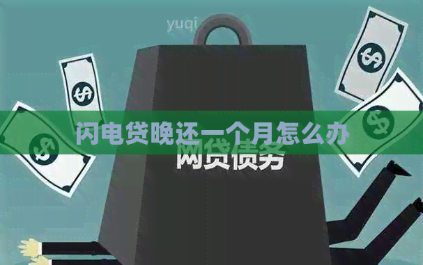 闪电贷晚还一个月怎么办