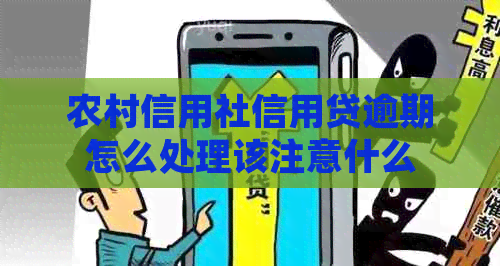 农村信用社信用贷逾期怎么处理该注意什么
