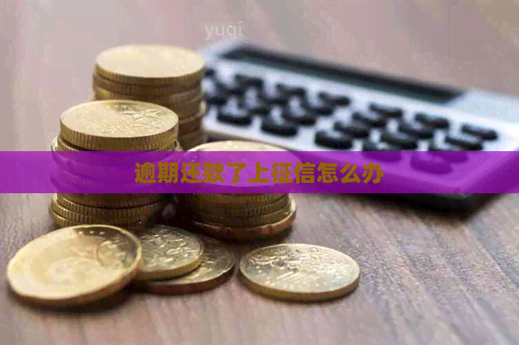 逾期还款了上怎么办