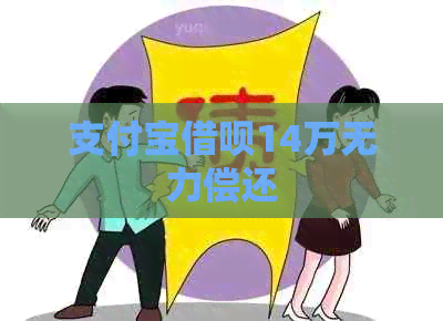 支付宝网贷14万无力偿还