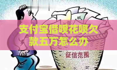 支付宝网贷信用卡欠款五万怎么办