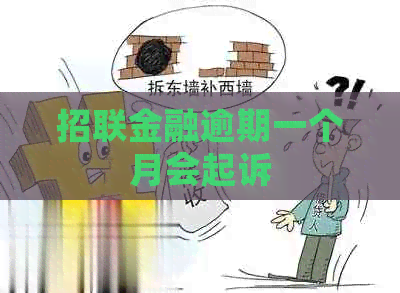 招联金融逾期一个月会起诉