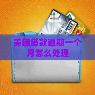美团借款逾期一个月怎么处理
