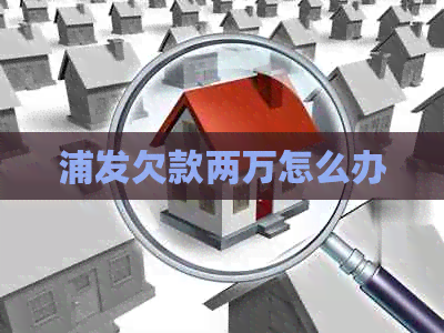 浦发欠款两万怎么办