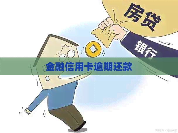 金融信用卡逾期还款