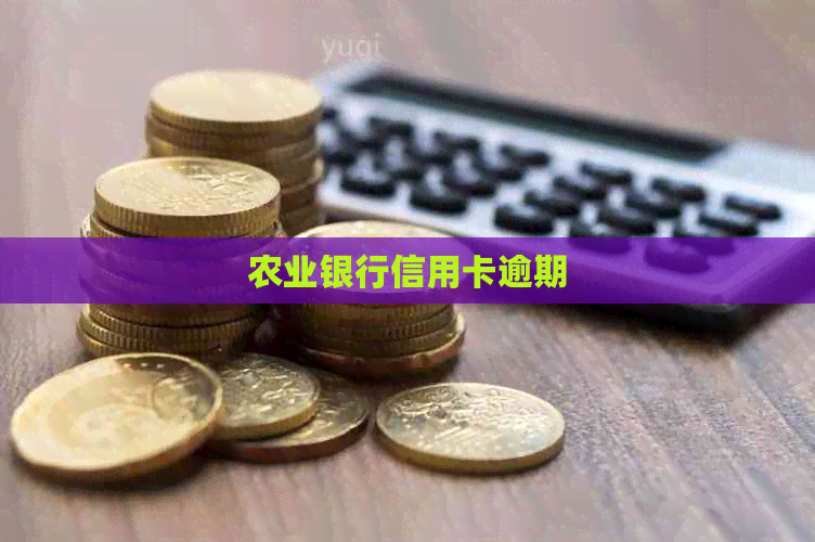 农业银行信用卡逾期