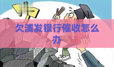 欠浦发银行怎么办