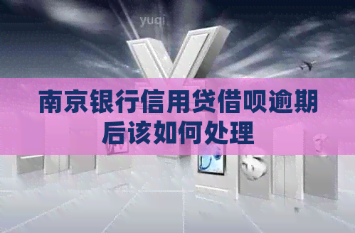 南京银行信用贷网贷逾期后该如何处理