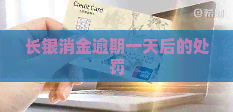 长银消金逾期一天后的处罚