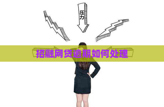 招融网贷逾期如何处理