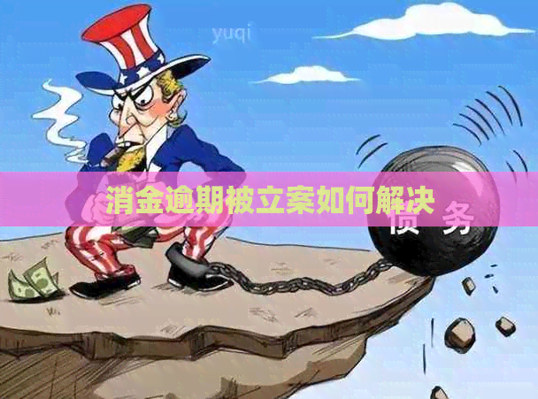 消金逾期被立案如何解决