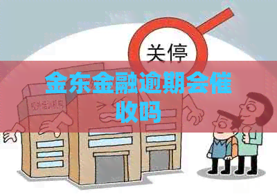 金东金融逾期会吗