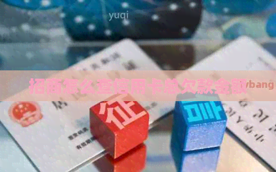 招商怎么查信用卡总欠款金额