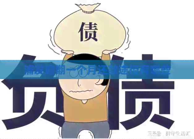 浦发逾期一个月还款途径有哪些