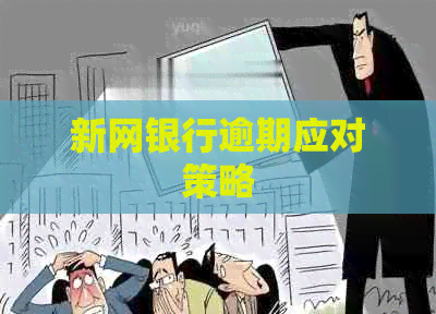 新网银行逾期应对策略