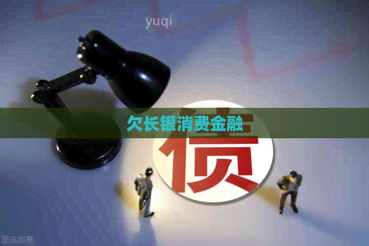 欠长银消费金融
