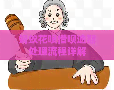 蚂蚁信用卡网贷逾期处理流程详解
