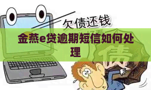 金燕e贷逾期短信如何处理