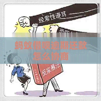 蚂蚁网贷逾期还款怎么协商