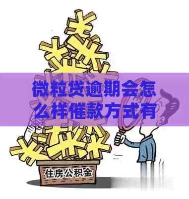 微粒贷逾期会怎么样催款方式有哪些