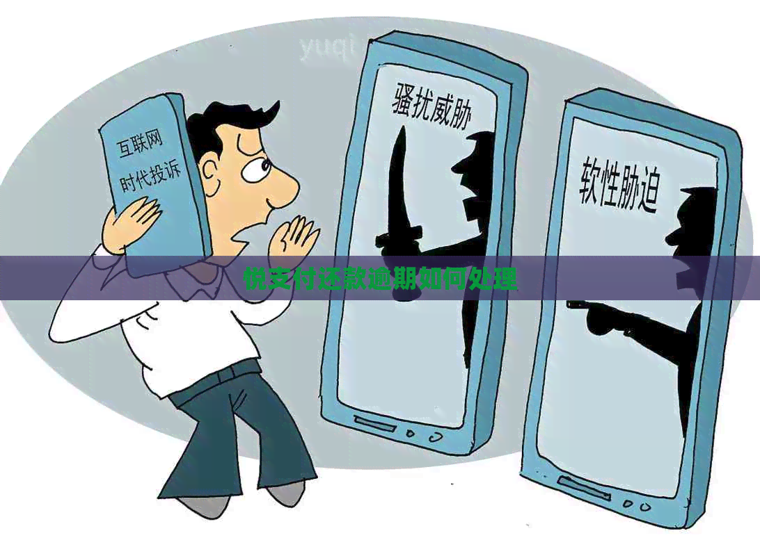 悦支付还款逾期如何处理
