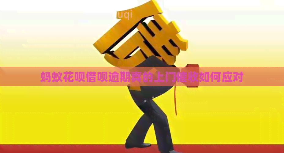 蚂蚁信用卡网贷逾期真的上门如何应对