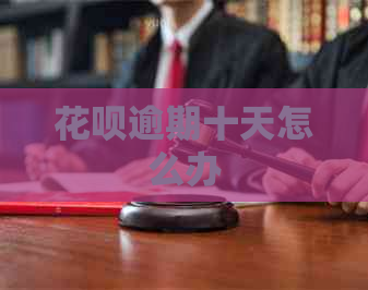 信用卡逾期十天怎么办