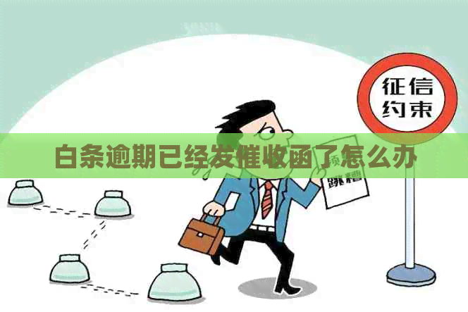 白条逾期已经发函了怎么办