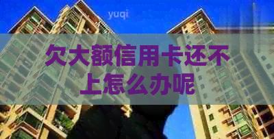 欠大额信用卡还不上怎么办呢