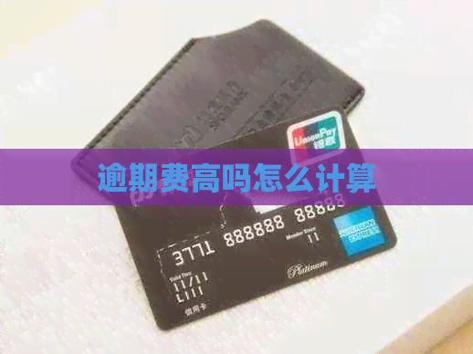 逾期费高吗怎么计算