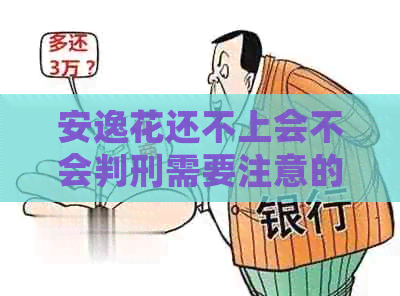安逸花还不上会不会判刑需要注意的事项