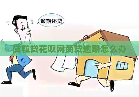微粒贷信用卡网贷逾期怎么办
