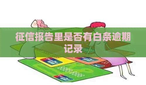 报告里是否有白条逾期记录