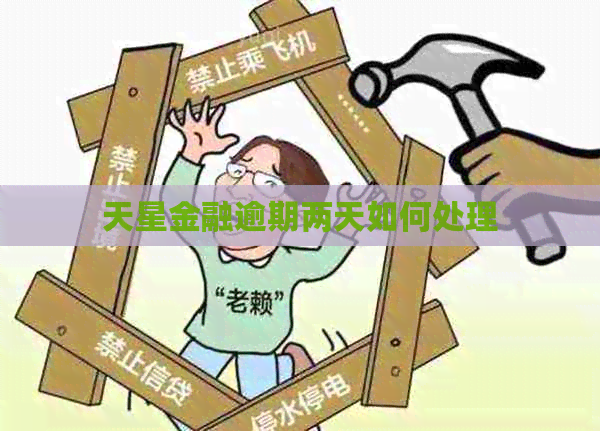 天星金融逾期两天如何处理