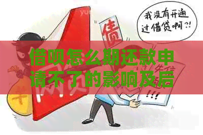网贷怎么期还款申请不了的影响及后果