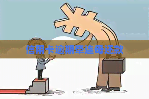 信用卡逾期牵连母还款
