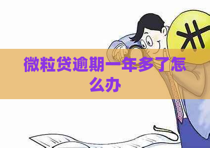 微粒贷逾期一年多了怎么办