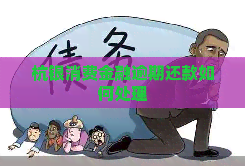 杭银消费金融逾期还款如何处理