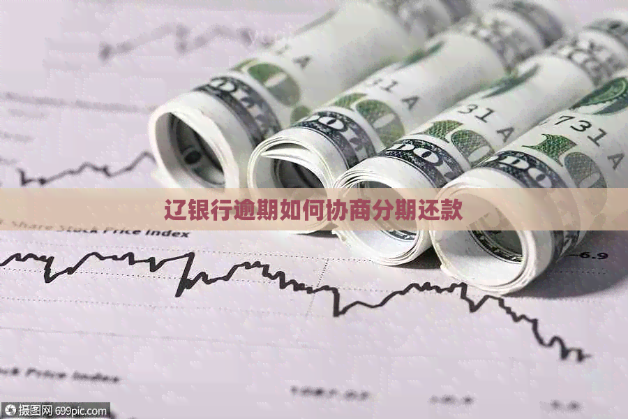辽银行逾期如何协商分期还款