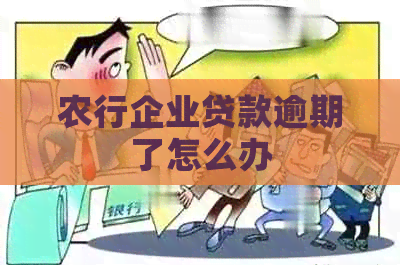 农行企业贷款逾期了怎么办
