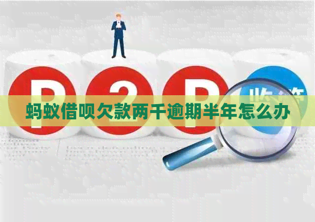 蚂蚁网贷欠款两千逾期半年怎么办
